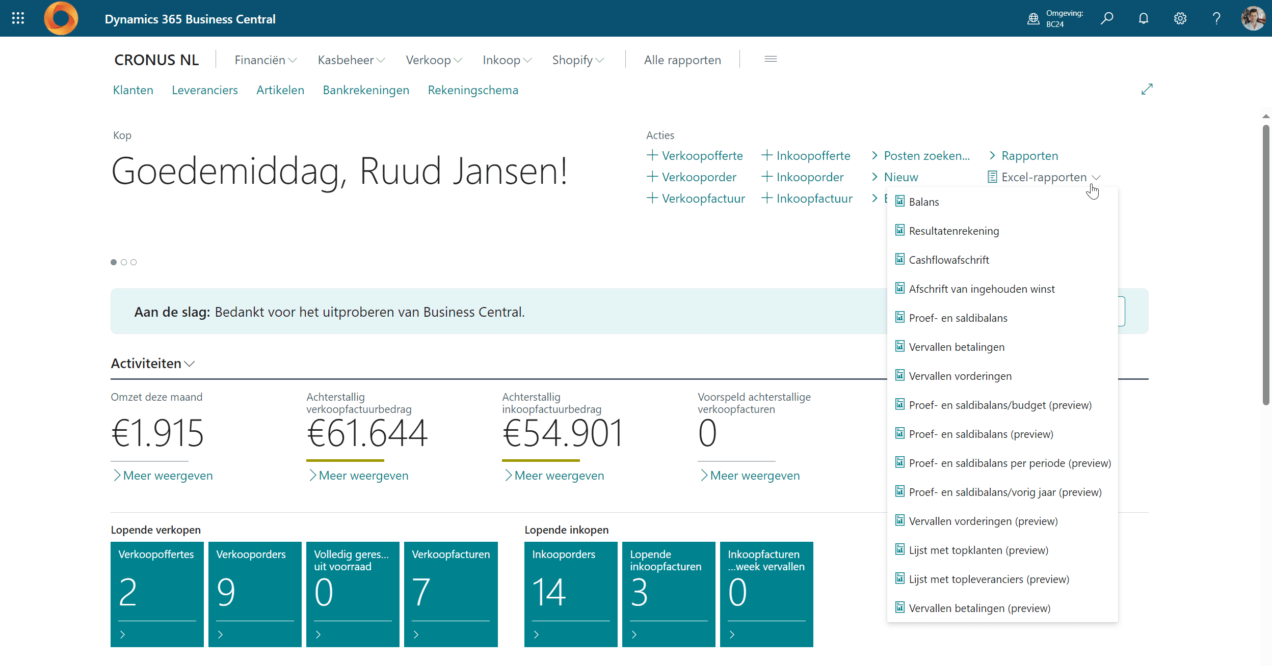 excel rapporten business central